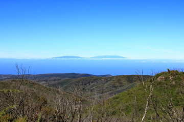 View from the summit of Garajonay on charred shrubs and trees, traces of the forest fire of 2012, on the horizon the island of La Palma, La Gomera, Canary Islands, Spain