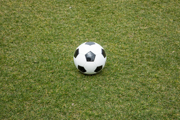Plakat 芝生の上のサッカーボール