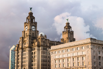 Liver Building and Cunard Building at dusk