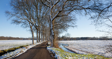 Winterlandscape Oostvierdeparten. Koloniehuisje. Maatschappij van Weldadigheid. Drenthe Netherlands. Winter, Snow. Lane and trees