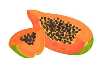 Cross Section of Papaya Fruit Showing Orange Flesh and Numerous Black Seeds Vector Illustration