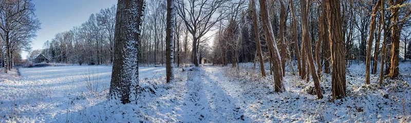 Foto auf Leinwand Boschoord. Maatschappij van Weldadigheid. Drenthe Netherlands. Winter, Snow. Panorama. Forest. © A