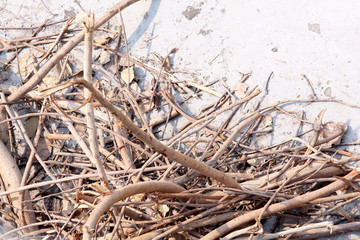 stock of Cut firewood for cooking, natural tree woods
