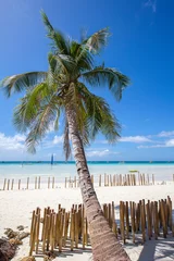 Photo sur Plexiglas Plage blanche de Boracay plage blanche et bambou, île de Boracay, Philippines.