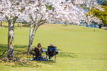 桜の咲く奈良公園で寛ぐ観光客　花見　2020年4月