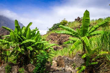 Paul Valley landscape in Santo Antao island, Cape Verde