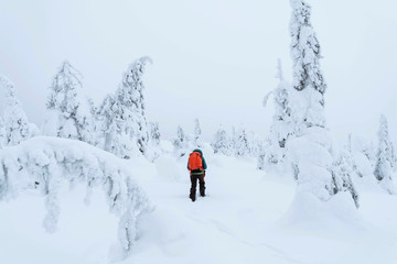 Fototapeta na wymiar Mountaineer trekking in the snow at Lapland, Finland