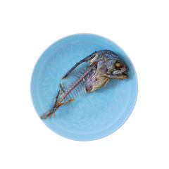 Mackerel's Fishbone on the blue plate on white background.
