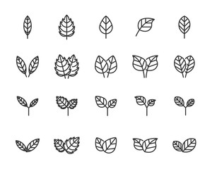 set of leaf icons, nature, leave