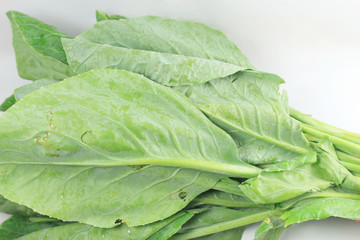 kale leaf on white background.