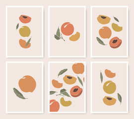 Peach poster set with hand-drawn fruit icons with leaves. Abstract plant composition in minimalistic style. Decoration food illustrations.