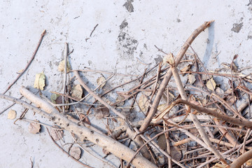 stock of Cut firewood for cooking, natural tree woods
