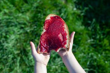 Bread smeared with strawberry jam. Child hands with snack. Outdoor snack in grass.
