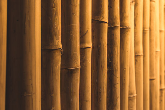 bamboo fence. Wall texture background for interior or exterior design