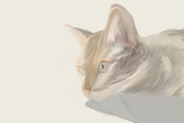 Bengal cat brown fur and green eyes sleeping on floor - illustration