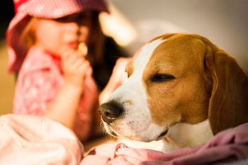Portrait of a beautiful little girl in red hat with beagle dog