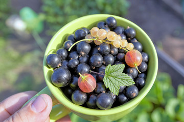 Green mug with berries on a background of blurry beds