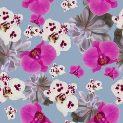 Phalaenopsis orchid seamless pattern for prints, fabrics, paper, backgrounds and various designs