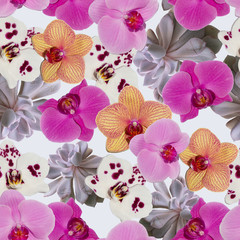 Phalaenopsis orchid seamless pattern for prints, fabrics, paper, backgrounds and various designs