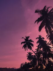 Deurstickers Roze palmbomen in de schemering