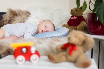 Fototapeta premium Little baby boy sleeping on a sofa on artificial fur, surrounded by toys - teddy bears and fire truck
