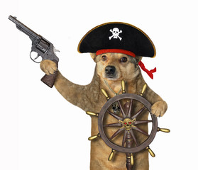 The beige dog in a pirate uniform with a pistol is at the helm of the ship. White background....