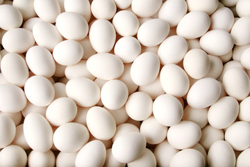 たくさんの卵 新鮮 有機で健康な食生活を Many fresh organic eggs.