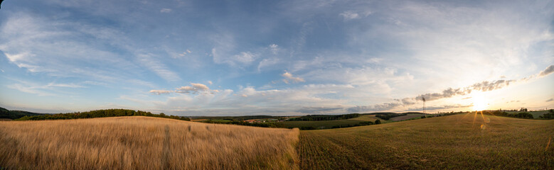 Ripe Wheat Field in Kansas  panorama