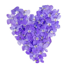 Heart of jumbled, small, violet flowers isolated