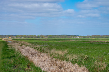 Dutch rural landscape in The Netherlands in holland