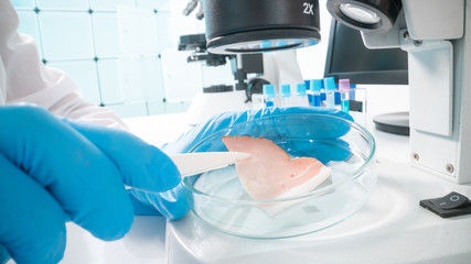 Inspection of meat and fish quality in the food quality laboratory