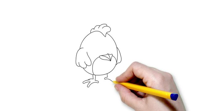 Animated pencil scetch of chicken on white background with hand. Artists hand drawing of the cute chicken or rooster. Motion graphic showing simple sketch of single black line. Drawing by hand of bird