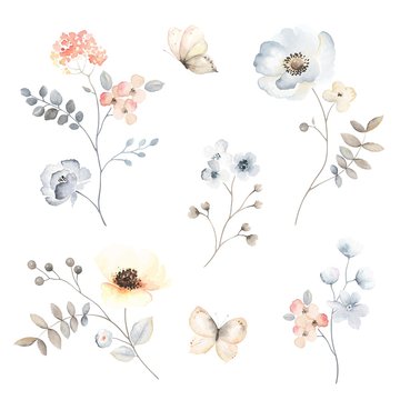 Set abstract flying butterflies and floral branches with blossom flowers, leaves, berries. Vector isolated illustration in vintage watercolor style.