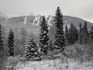 Cloudy day in a frosty winter 