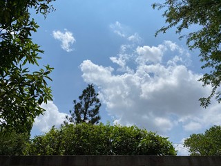 White clouds with blue skies and green trees. Space to letterring. 