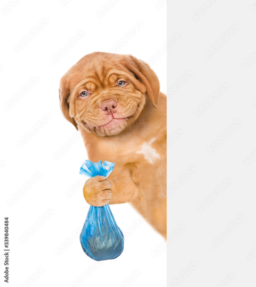 Poster smiling puppy holds plastic bags with garbage behind empty white banner. eco concept. isolated on wh