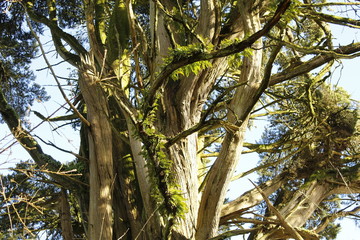 Johnstown Castle Wexford Ireland