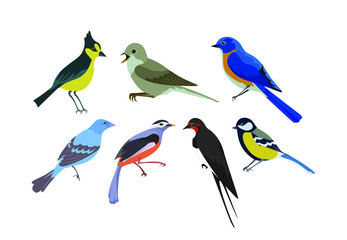A set of beautiful bright birds. Illustration on a white background. Spring set of birds.