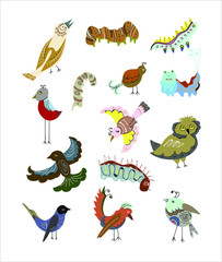 Fototapeta premium set of different birds and caterpillars on a white background