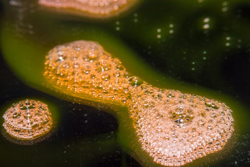 Bubbles in the black scene