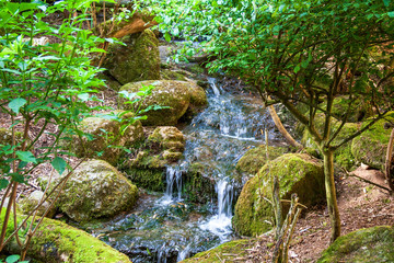 Cours d'eau dans la campagne