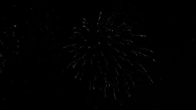 Abstract fireworks show on deep black night sky