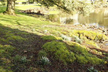 Johnstown Castle Wexford Ireland