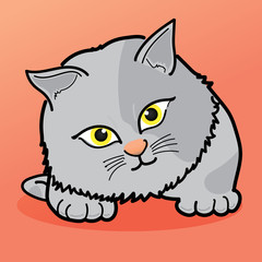 Cat Illustration clipart. The gray cat has a dark marking on its body. It has yellow eyes. It is on a orange background. Hand draw art..
