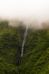 Wasserfall kommt aus dem Nebel  © LinaLoos