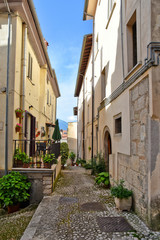 Fototapeta na wymiar A narrow street between the old houses of a medieval village