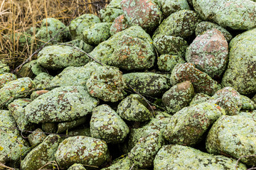Fototapeta na wymiar A pile of stones that are covered with green lichen. Close up. Late autumn in Europe.