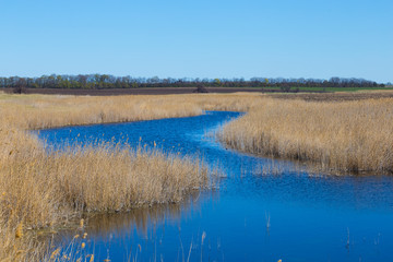 small blue river flow among a prairie, spring outdoor scene