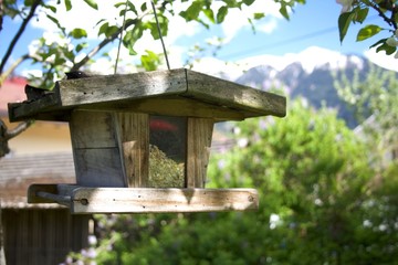 Vogelhaus