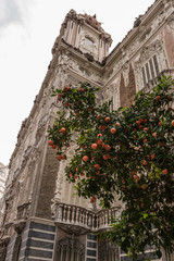 The National Museum of Ceramics and Decorative Arts